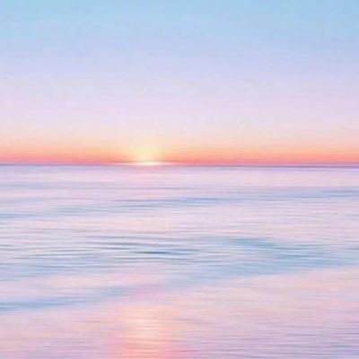 im电竞官网注册