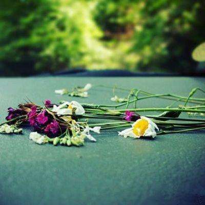 爱游戏com手机app下载