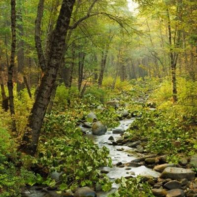 mg娱乐电子游戏网站