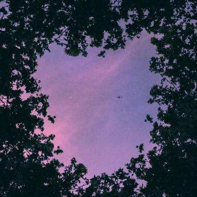 天天中彩票app下载