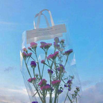 bob体肓官方网站