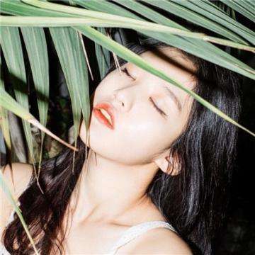 火狐app最新登录