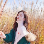 爱游戏(AYX)下载手机版